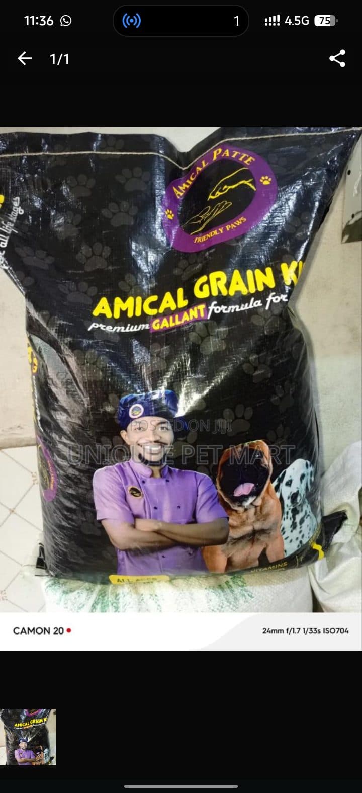 Amical Kibbes